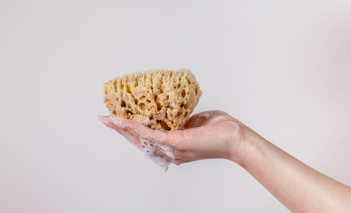 Organic Sea Sponge