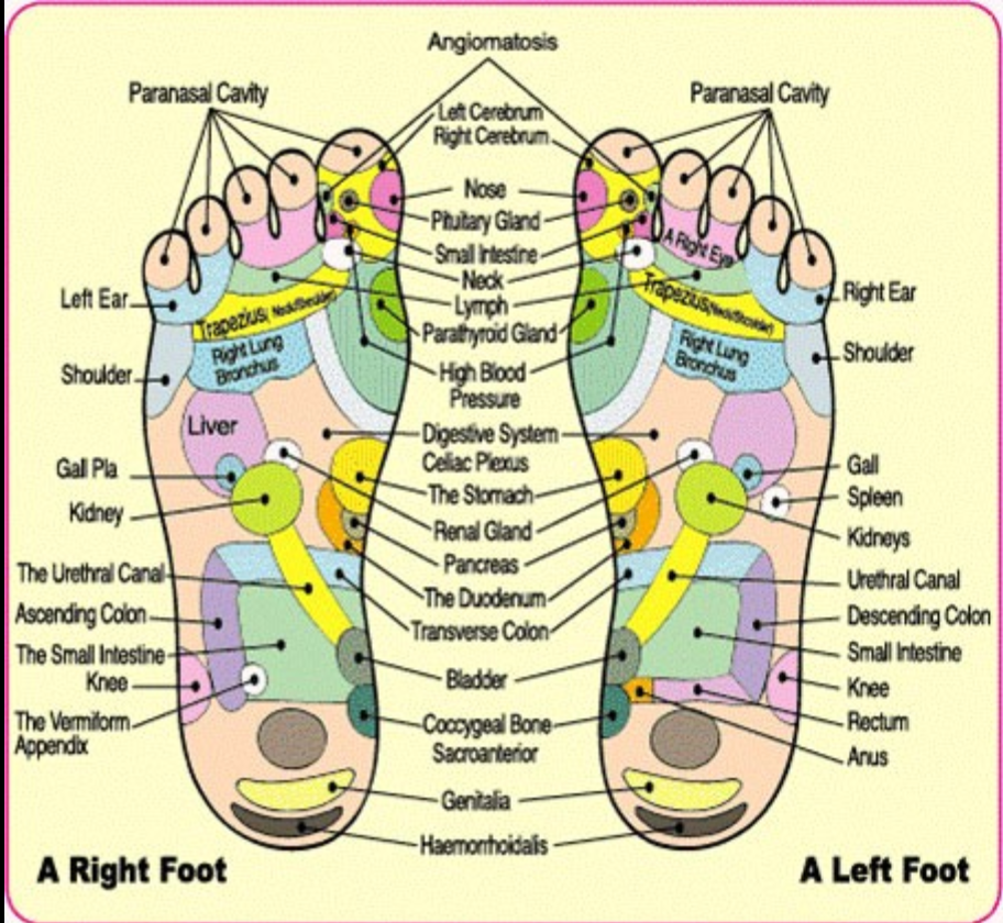 Detox Foot Pads