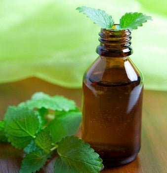 Perks for Peppermint Oil Usage